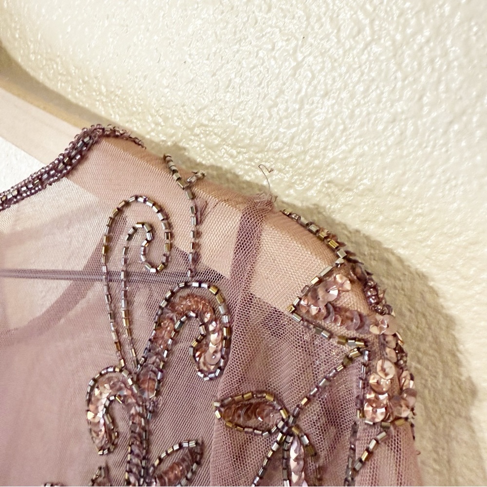 Pisarro Nights Beaded Illusion Neck Gown Mauve Tulle Flare Godet Hem Midi Size 6 - Picture 8 of 14